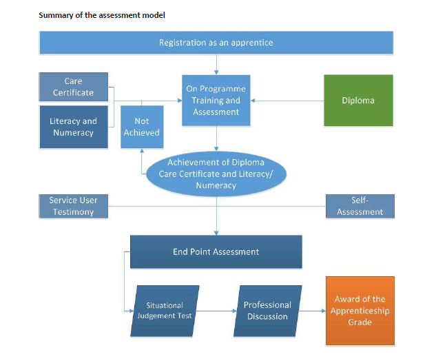Summary of the assessment model  1. Registration as an apprentice 2. On Programme Training and Assessment (a) Care Certificate (b) Literacy and Numeracy (c) Diploma  3. Achievement of Diploma Care Certificate and Literacy / Numeracy (a) Service User Testimony (b) Self Assessment  4. End Point Assessment (a) Situational Judgement Test (b) Professional Discussion  5. Award of the Apprenticeship Grade 